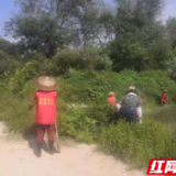 新宁金石镇：开展河道专项整治 打造美丽生态环境
