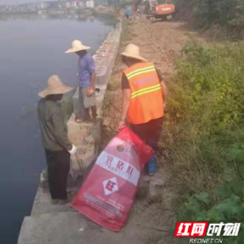 邵东牛马司镇：深入贯彻河长制 守护一方碧水