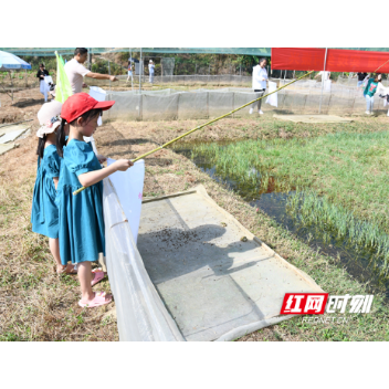 新邵潭府乡：中秋青蛙垂钓 重温童年乐趣