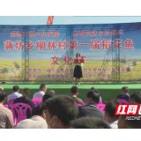 城步蒋坊乡举办首届乡村“稻花鱼文化节”