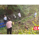 新宁:党群同心齐动手 河道旧貌换新颜