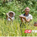 隆回:鱼稻双收 效益共嬴
