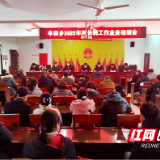 新宁县丰田乡召开河长制工作业务培训会