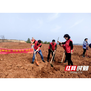 邵阳市水利局：春风吹新绿，植树进行时