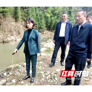 城步：加强河湖管理，努力实现河畅、水清、岸绿、景美