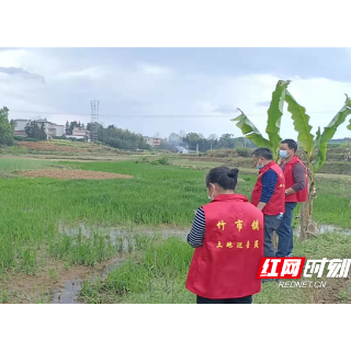 洞口县竹市镇开展土地集中巡查行动