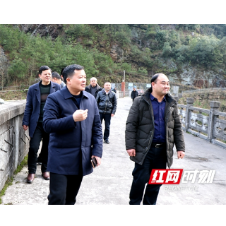 洞口：树立生态环境保护意识 营造自觉守护美丽家园浓厚氛围