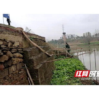 大祥区城南街道：重拳出击，铲除河道种菜“顽疾” 