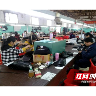 城步：以稳就业促进乡村振兴