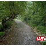 新宁靖位乡：认真落实河道保护工作