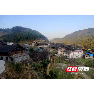 城步：我的巡头我的村，真帮实驻谋发展
