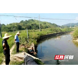 邵阳县罗城乡：强化责任担当，依法治水护水