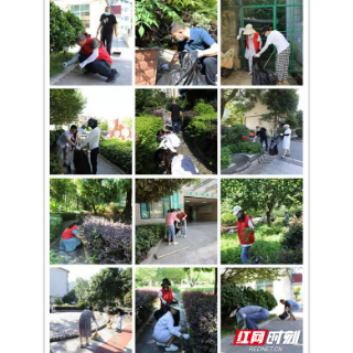 邵阳市脑科医院:助力城市建设 共建文明家园