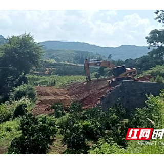 新宁金石镇：清除河道四乱 保河道行洪安全