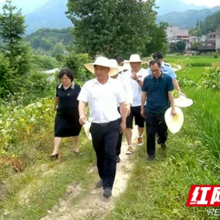 绥宁：佘芝云深入乡镇开展巡河并调研产业项目建设