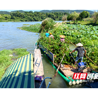 新宁县清江桥乡河道保洁不松懈 营造良好水环境