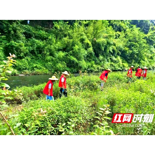 绥宁河口乡：河道保洁 “清河净滩”在行动