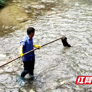 新宁麻林乡：河长制榜样示范 做细做实保洁工作