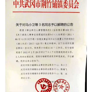 关于对马小卫等3名机关事业单位工作人员予以解聘的公告