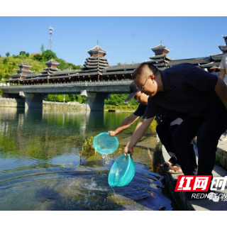 绥宁：投放200万尾鱼苗助力河道生态环境改善