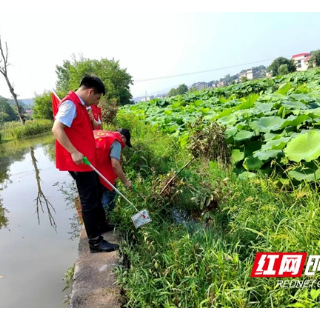 邵东火厂坪镇：推行河长制  开展清河净滩专项行动