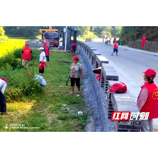 绥宁寨市乡朝仪村：开展党员义务劳动 助力美丽乡村建设 