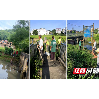 邵东廉桥镇：“清河行动”如火如荼  守护药都水清库美