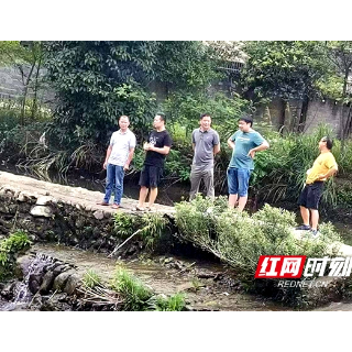 新宁县麻林乡、水庙镇携手巡视新寨河