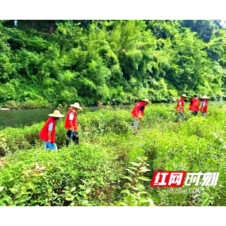 净滩行动丨邵阳：守护一江碧水，我们共同行动