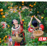 牢记殷殷嘱托 谱写芙蓉新篇 | 图说对口帮扶路上的芙蓉力量