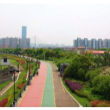 航拍 | 人间四月天，浏河岸美如画