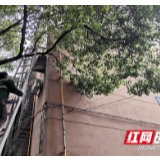 修枝换新貌 剪除居民身边的安全隐患