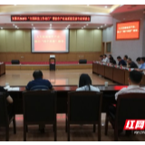 芙蓉区召开软件产业高质量发展专家座谈会