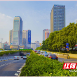 芙蓉两会“模式”开启,政协委员带着这些提案来了