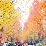 话民生,促发展……芙蓉“两会”时间,这些人大代表建议有你关注的吗?