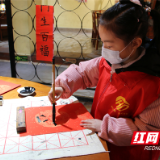 就地不将就，“荷花”年味浓