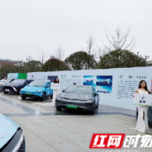 100万补贴！这个春天，让我们一起去芙蓉从新开“驶”