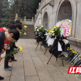 鲜花祭英烈 从党史中感悟初心使命