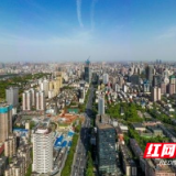以“文化+”产业定位加快袁家岭中央文化商务区建设