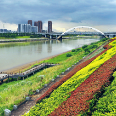 以“绣花功夫”精耕细织美好城市环境