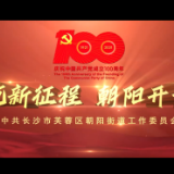 庆建党百年｜启航新征程 朝阳开新篇