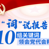 图解 | 几组关键词，读懂芙蓉区党代会报告