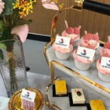 芙蓉自贸首期企业沙龙开讲 自贸“朋友圈”再添“连心桥”