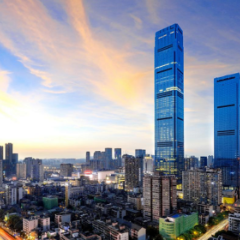 窗口期+释放期+黄金期，未来可“期”