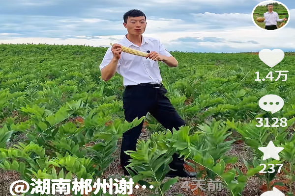 微信图片_2025-07-01_075724_786.png