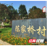 青山绿水我的家 | 宁乡市陈家桥村：深林写诗意  生活画中来