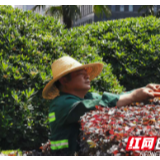 @长沙 五一太忙 你的“颜值”我来保养