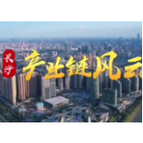 湖南卫视新闻联播 | 产业链风云（3）：引领力