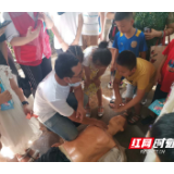 快乐暑假 安全畅游