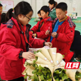 视频 | 开心农场乘“丰”献暖！忙坏校园“小农人”